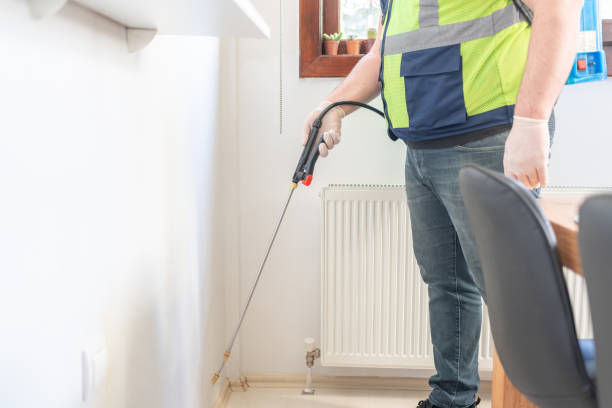 Best Wasp Removal Services  in Mountain Lake Park, MD